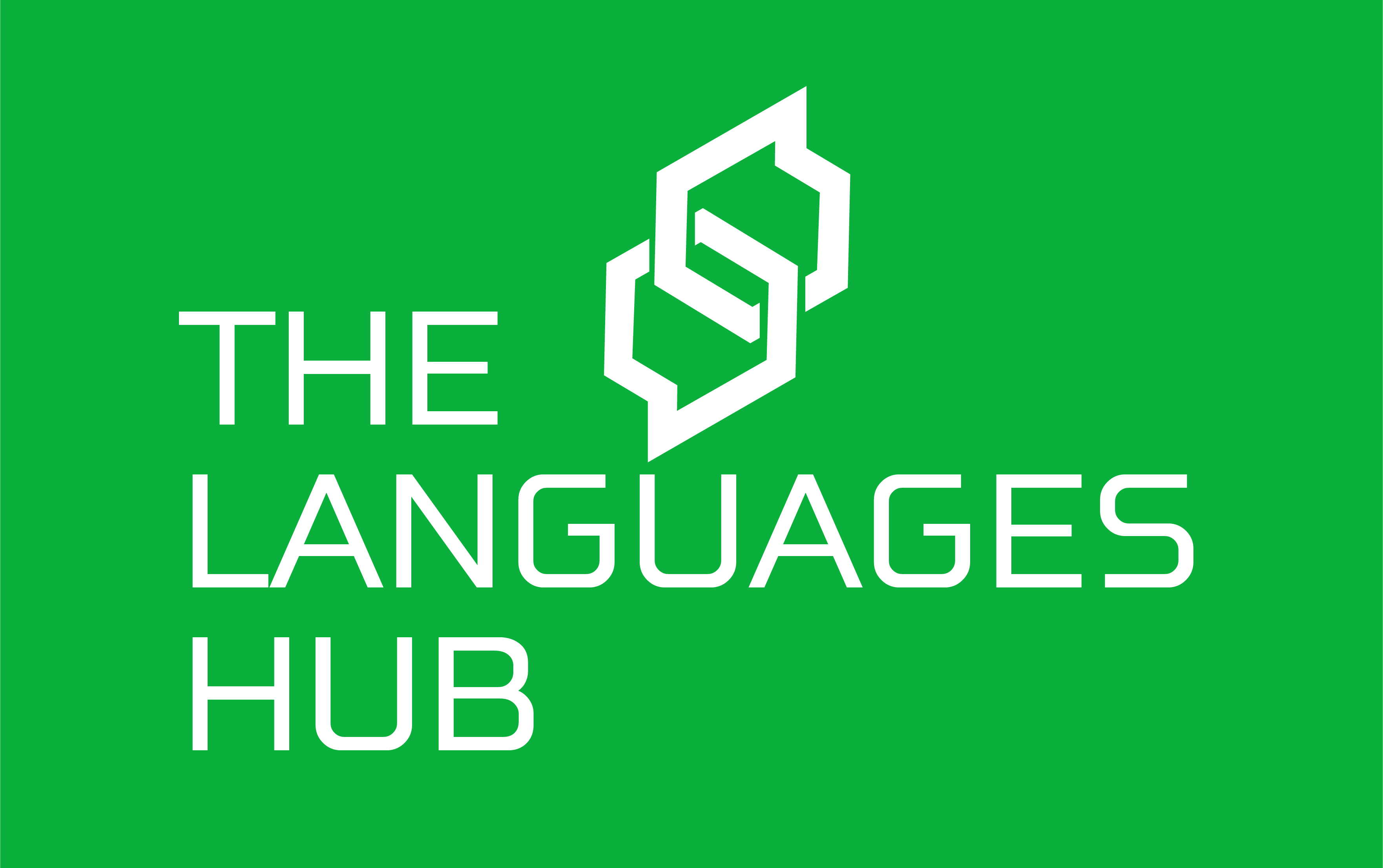 THE LANGUAGES HUB